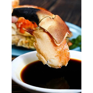 Hoả Tốc - Cua Nâu Siêu Gạch - Bao Ăn 1 Đổi 1