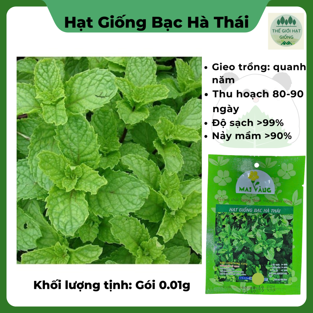 Hạt Giống Bạc Hà Thái
