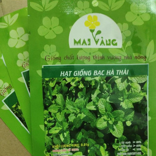 Hạt Giống Bạc Hà Thái