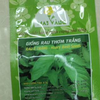 Giống Rau Thơm Trắng