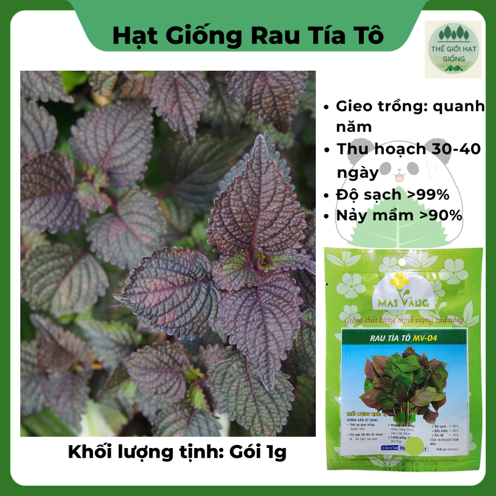 [Gói 1g] Hạt giống Rau Tía Tô