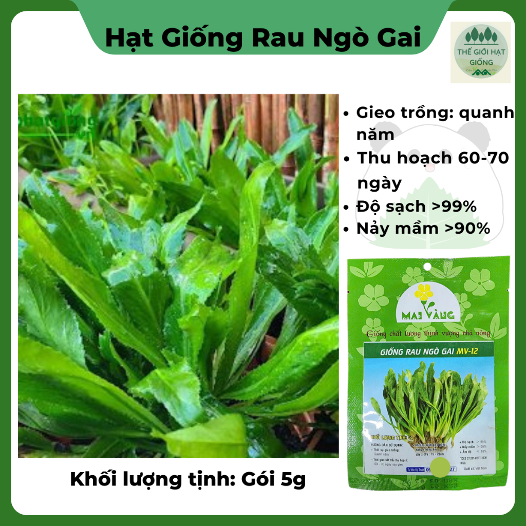 [gói 5g] Hạt giống rau ngò gai (mùi tàu)