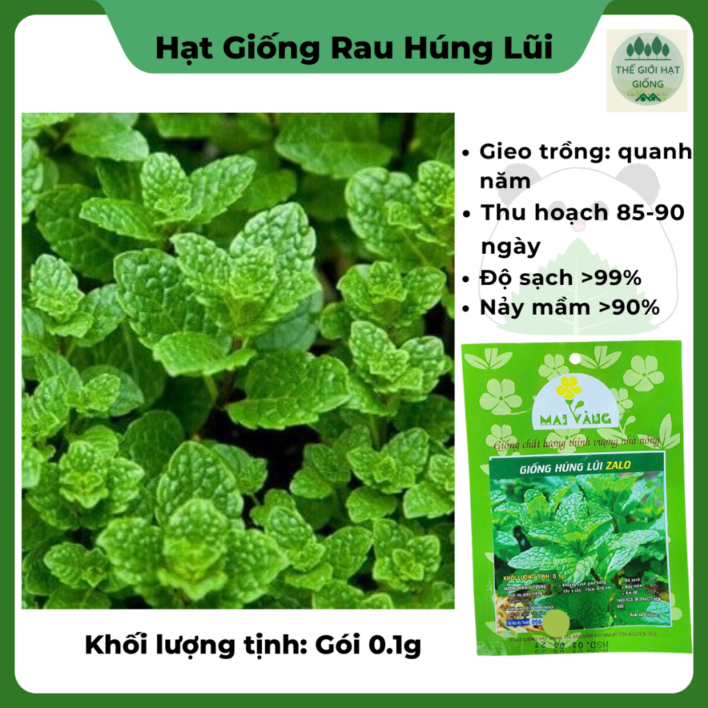 [gói 0.1g] Hạt giống rau húng lũi