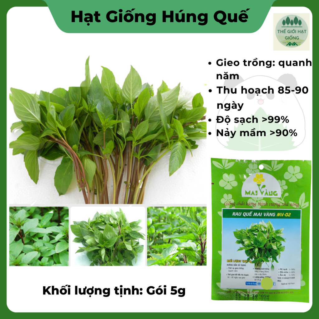 Hạt giống Rau Húng Quế