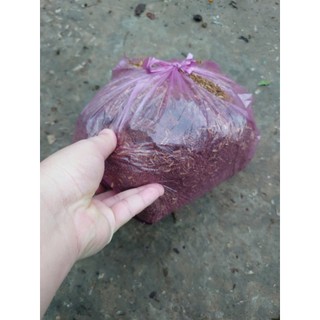 Đất phân trồng cây cảnh hoa kiểng 1 kg