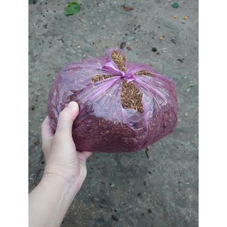 Đất phân trồng cây cảnh hoa kiểng 1 kg