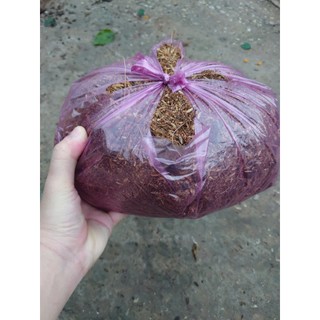 Đất phân trồng cây cảnh hoa kiểng 1 kg