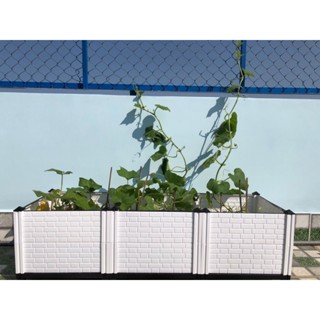 Chậu nhựa lắp ghép, lắp ráp thông minh trồng rau sạch, trồng cây (120cm x 40cm x H35cm)