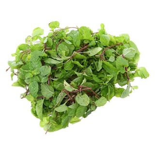 Hạt Giống Rau Húng Lủi (Gói 0.2 gam ~ 700 hạt) Phát Triển Nhanh, Thu Hoạch Liên Tục