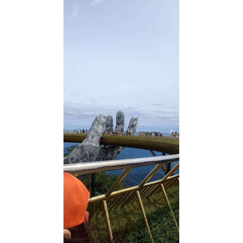 Đơn chốt live 400