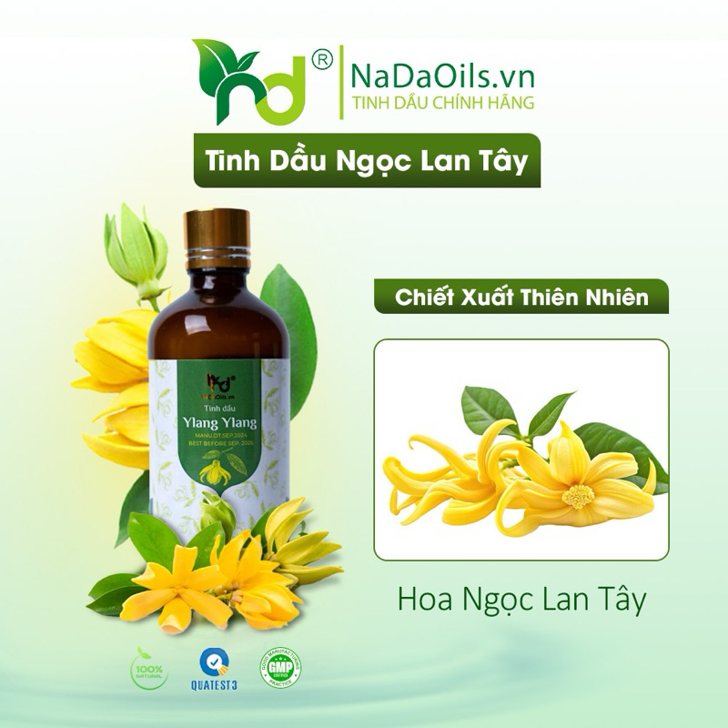 Tinh Dầu Thiên Nhiên Ngọc Lan Tây_NADA OILS