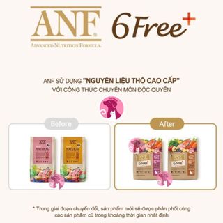 Thức ăn hạt cho mèo con - ANF Kitten 2kg