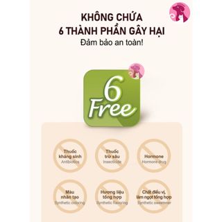 Thức ăn hạt cho mèo con - ANF Kitten 2kg