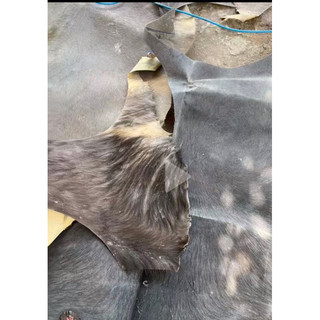 Da trâu thật