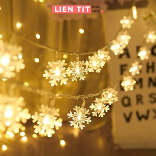  Dây Đèn Led Không Nháy Màu Vàng Ấm Trang Trí Cây Thông Noel Decor Phòng 