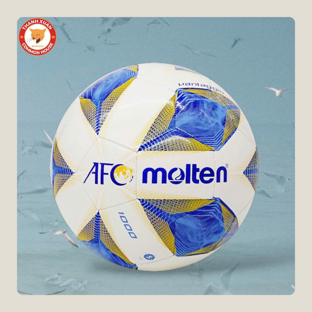 Bóng MOLTEN