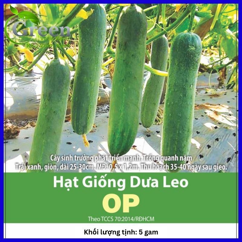 Hạt Giống Dưa Leo OP (Gói 5 gam ~ 80 hạt) Trái Dài, Xanh Giòn, Nhanh Thu Hoạch