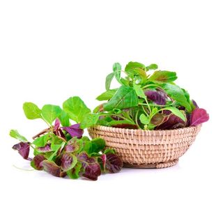 Hạt Giống Rau Dền Ba Màu (Gói 20 Gam ~ 7000 hạt) Nhanh Thu Hoạch, Dễ Trồng