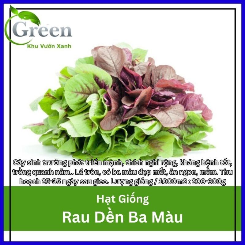 Hạt Giống Rau Dền Ba Màu (Gói 20 Gam ~ 7000 hạt) Nhanh Thu Hoạch, Dễ Trồng