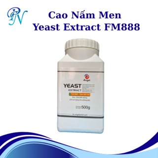 Cao nấm men YEAST EXTRACT FM888