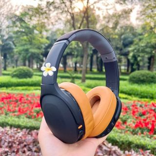Tai Nghe Bluetooth, Tai Nghe, Tai Nghe Ko Dây, Tai Nghe Chụp Tai Skuncandi CRU SỜ EVỐ