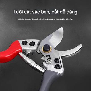 Kéo cắt cành cao cấp lưỡi thép SK5 sắc bén, tay cầm chống trượt, cắt ngọt, bền bỉ, đẹp