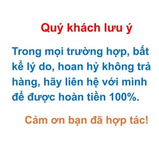 Cây hoa Chùm ớt (Rạng Đông), bông chùm màu cam rực rỡ