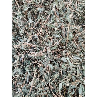 cây dòi sấy khô 100g, combo 3 bầu cây dòi tím ,1 bầu 9-10 cây,