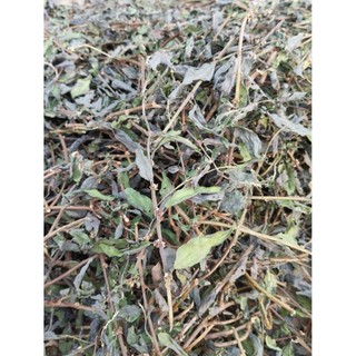 cây dòi sấy khô 100g, combo 3 bầu cây dòi tím ,1 bầu 9-10 cây,