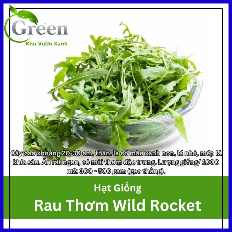 Hạt Giống Rau Thơm Wild Rocket Thích Nghi Mạnh, Nhanh Thu Hoạch