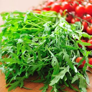 Hạt Giống Rau Thơm Wild Rocket Thích Nghi Mạnh, Nhanh Thu Hoạch