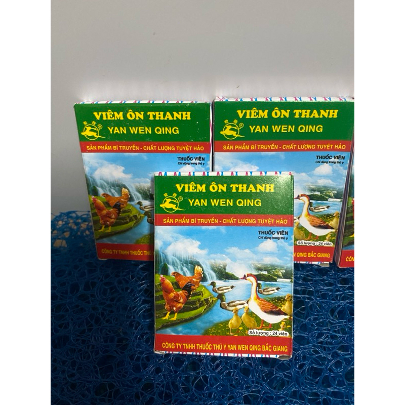 VIÊM ÔN THANH VĨ 24V(dạng viên )