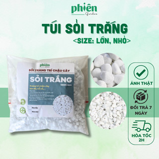 Sỏi trắng lát nền, lót chậu trang trí cây xanh, trang trí chậu cây