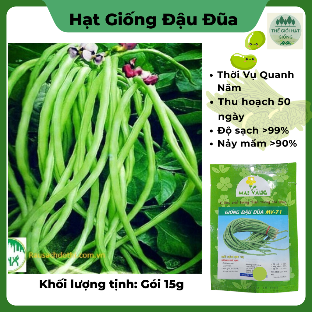 Hạt giống đậu đũa năng suất trồng quanh năm