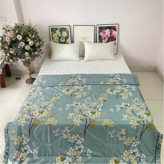 Chăn hè lụa Thái cao cấp, chăn mền hè lụa Thái Tencel siêu mát lạnh chăn hè nịnh da cao cấp kích thước 2m-2m3