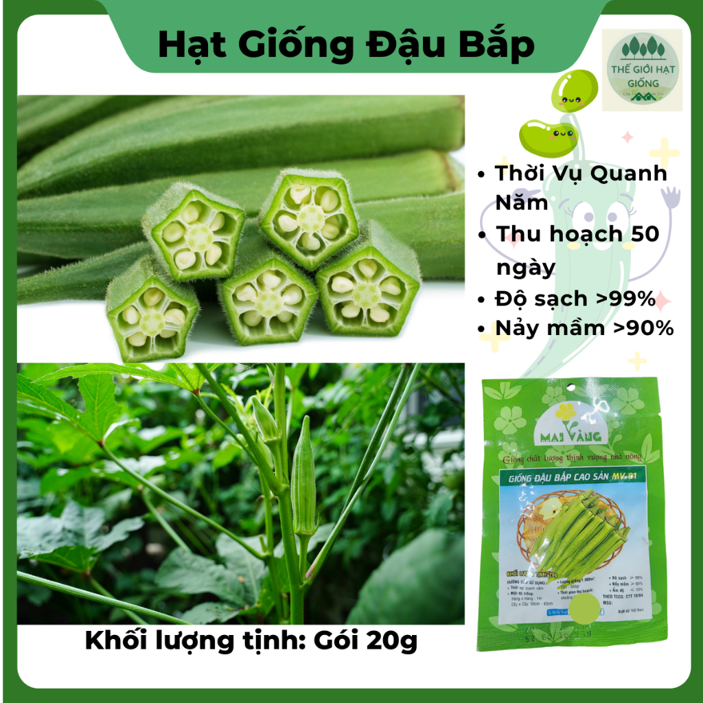 [gói 20g] Hạt giống Đậu bắp xanh