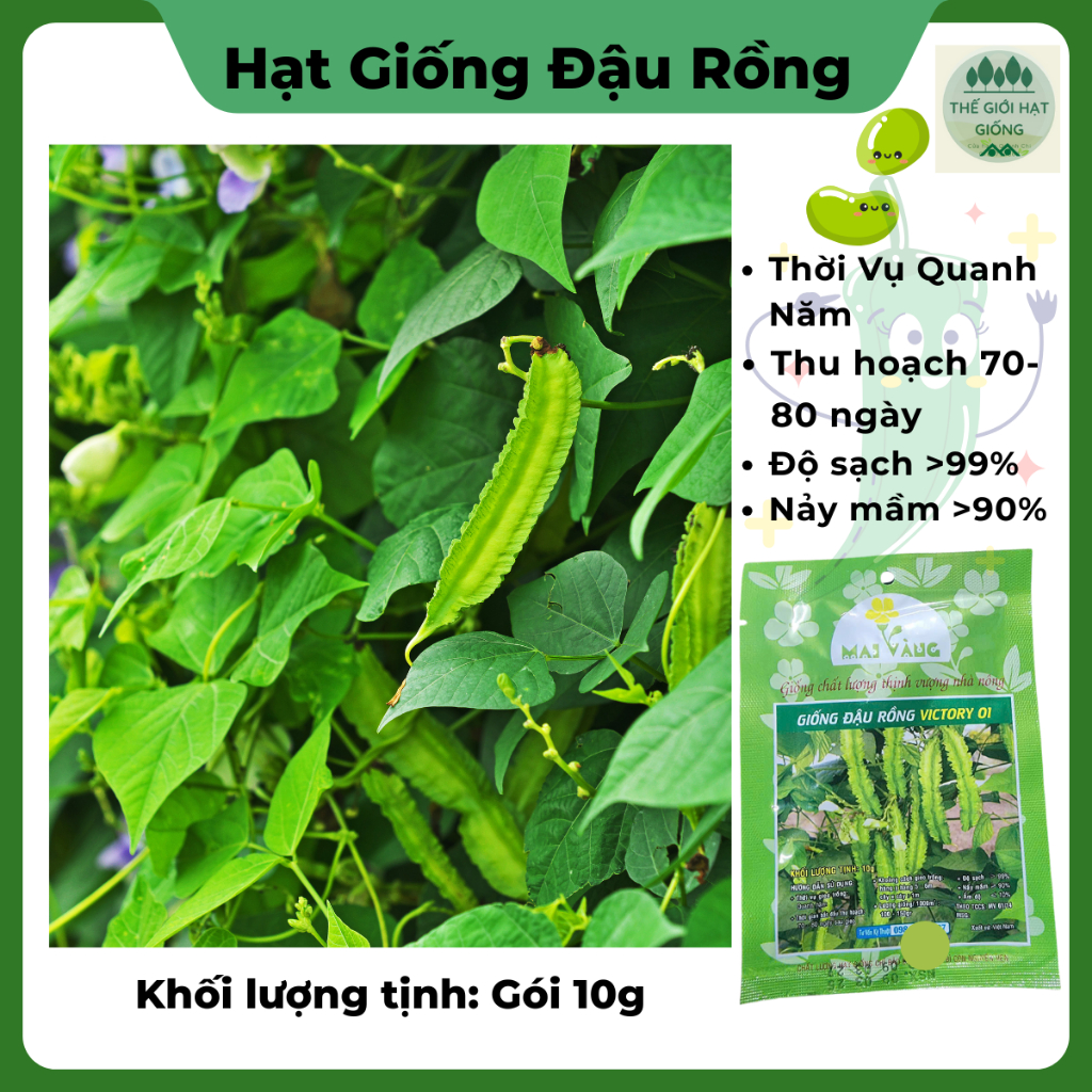 [Gói 10g] Hạt giống Đậu Rồng (đậu khế)
