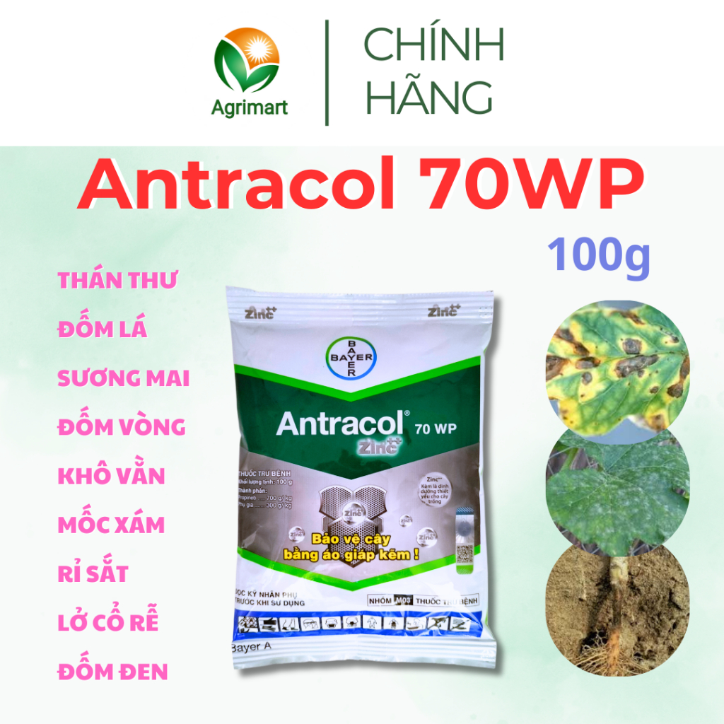Thuốc trừ bệnh Antracol 70WP - Phòng trừ Nấm bệnh Vàng lá thối rễ Phục hồi sau bệnh - 100gr