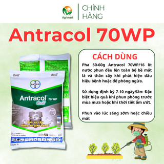 Thuốc trừ bệnh Antracol 70WP - Phòng trừ Nấm bệnh Vàng lá thối rễ Phục hồi sau bệnh - 100gr