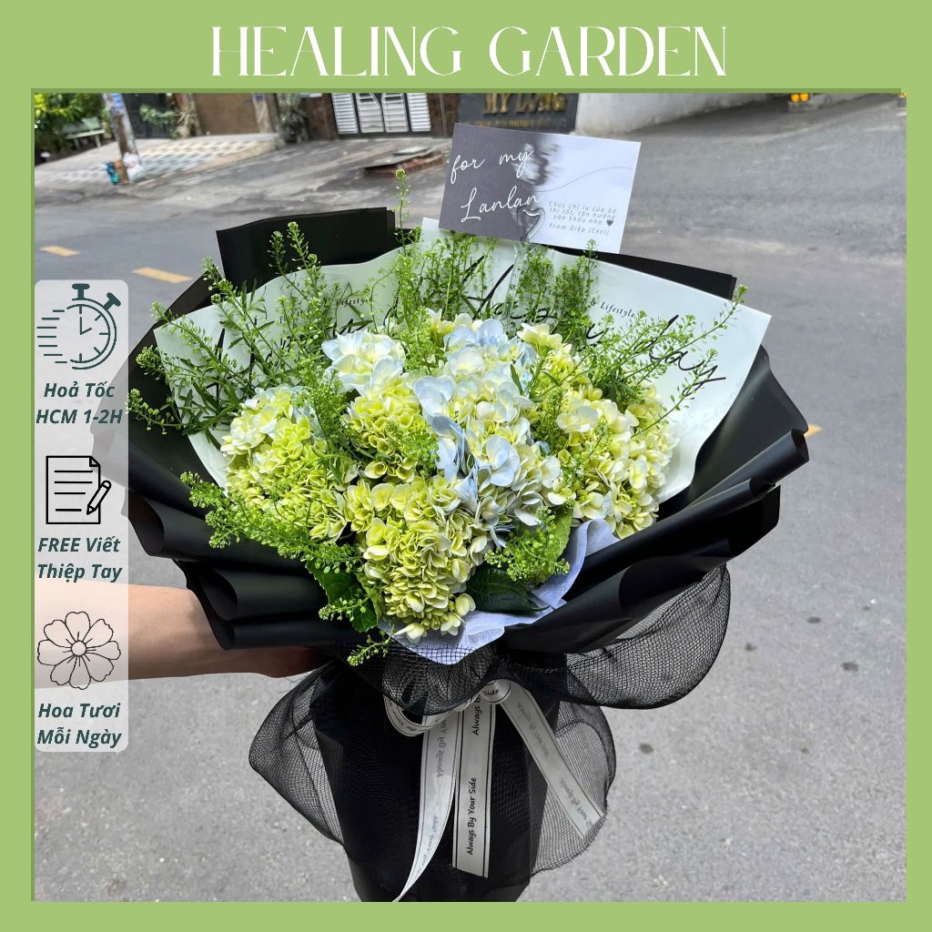 [HỎA TỐC HCM] HOA TƯƠI // Bó hoa cẩm tú cầu mix cỏ đồng tiền ( tùy chọn màu giấy gói )