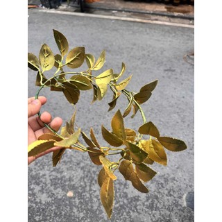 Vòng Nguyệt Quế Đội Đầu Trang Trí Decor