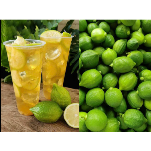 Chanh Xanh Quảng Đông Tươi - Chanh Nước Hoa, Chanh Vàng Úc làm trà chanh giã tay RẺ NHẤT