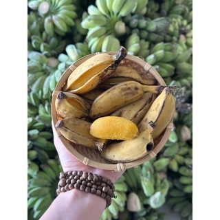 CHUỐI SÁP NGHỆ Trà Vinh loại RỜI - Thơm Ngọt Dẻo