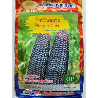 Hạt giống Ngô Nếp Tím Đen (Bắp Dẻo Ngọt) nhập Thái Lan nguyên gói