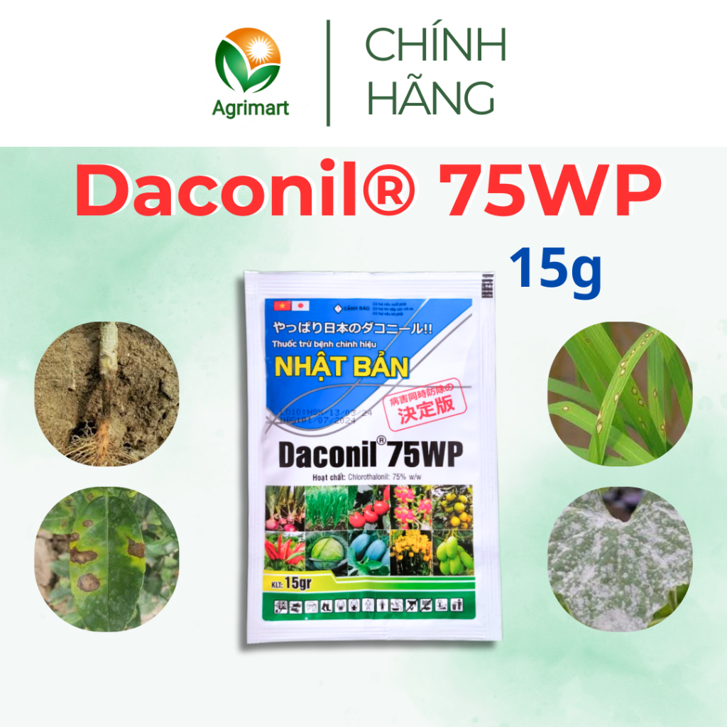 Thuốc trừ bệnh cây trồng Daconil 75WP Trị thán thư sương mai phấn trắng lỡ cổ rễ ghẻ sẹo - 15g