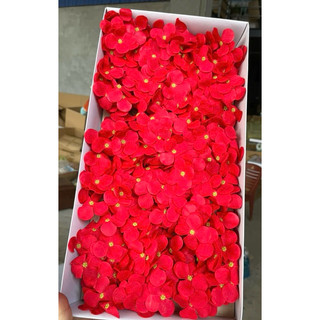 Hoa sáp Cẩm Tú cầu( hộp 25 bông)