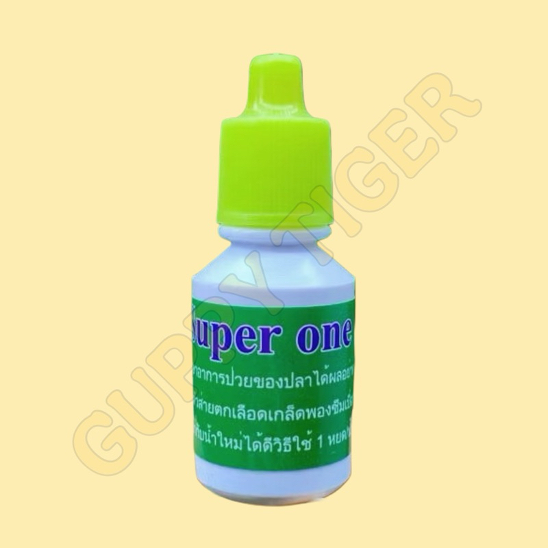 SUPER ONE THÁI – KÍCH ĂN NHẸ & GIỮ CÁ TỈNH KHI VẬN CHUYỂN