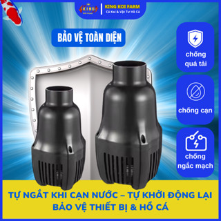 Máy Bơm Periha PG-20/25/35/40/50/60 – Tiết Kiệm Điện, Chạy Êm, Điều Chỉnh Lưu Lượng – Dành Cho Hồ Cá Koi, Ao Cảnh