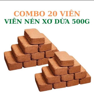 Combo 20 viên nén xơ dừa  trồng cây đã xử lý trồng hoa, cây cảnh