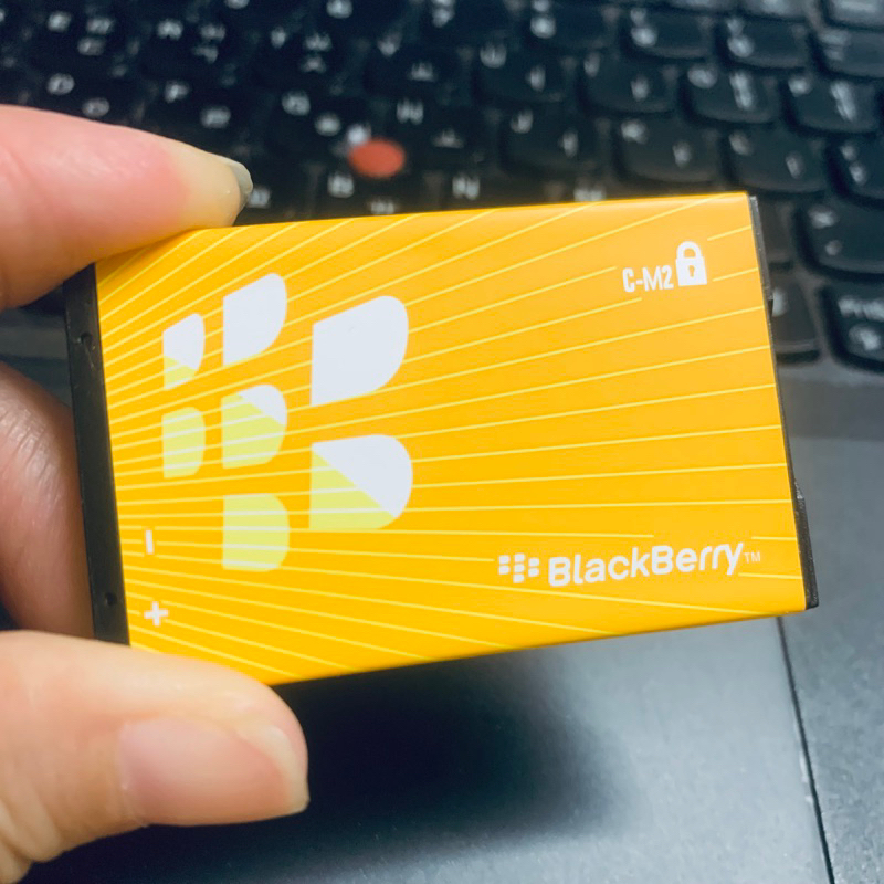 PIN CM2 CHO BLACKBERRY 8100/8120/8110